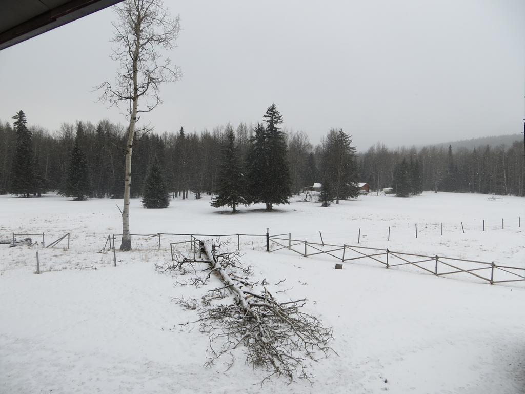 Black Cat Guest Ranch Brule Mines Exterior foto